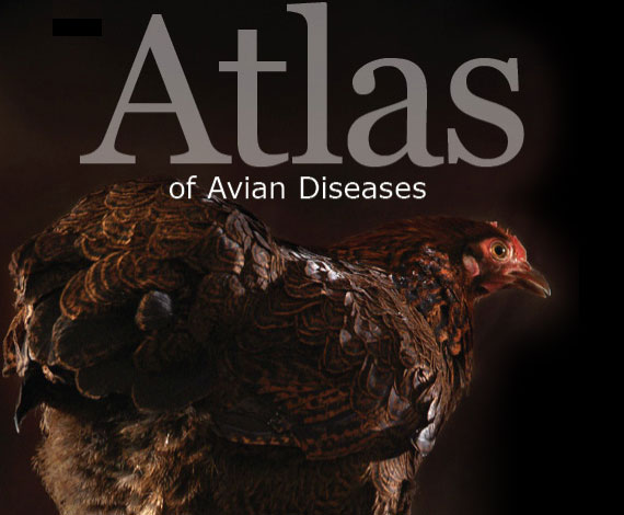 Atlas Of Avian Diseases Partners In Animal Health - 